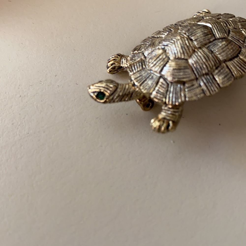 Silver turtle with green eyes. - Picture 3 of 5